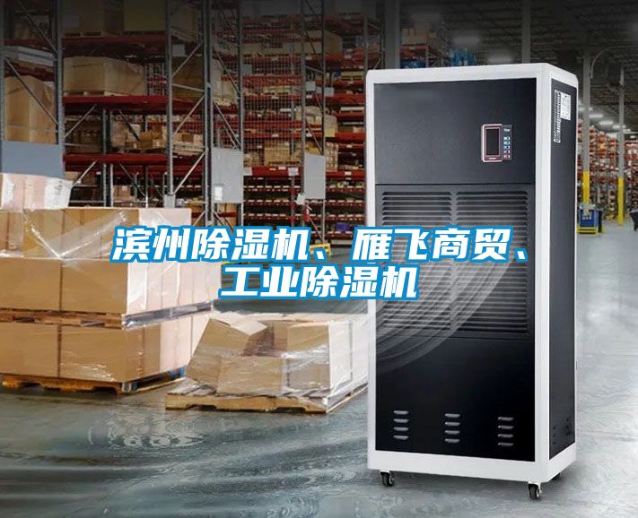 濱州除濕機、雁飛商貿、工業除濕機