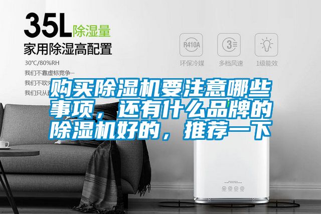 購買除濕機要注意哪些事項，還有什么品牌的除濕機好的，推薦一下
