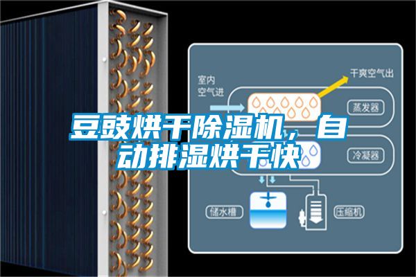 豆豉烘干除濕機，自動排濕烘干快