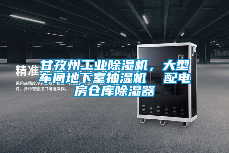 甘孜州工業除濕機，大型車間地下室抽濕機  配電房倉庫除濕器