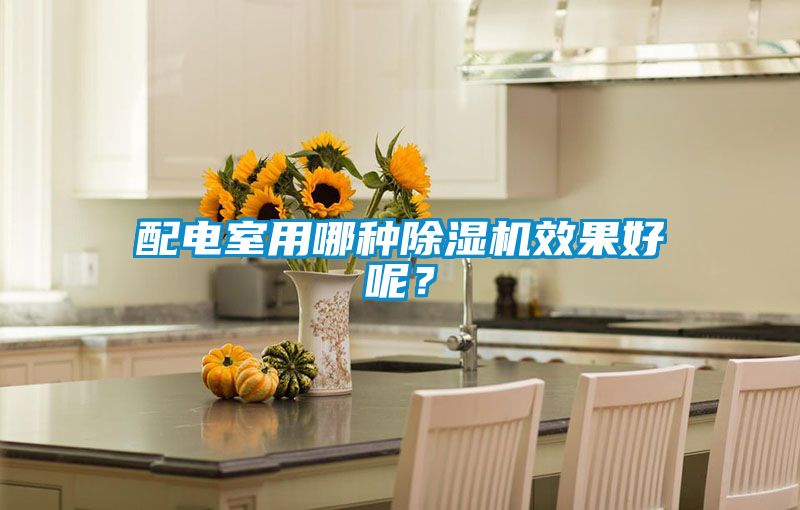 配電室用哪種除濕機效果好呢？