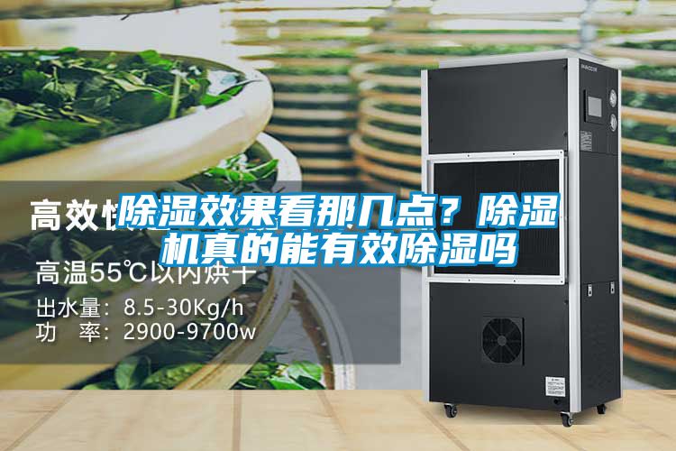 除濕效果看那幾點？除濕機真的能有效除濕嗎