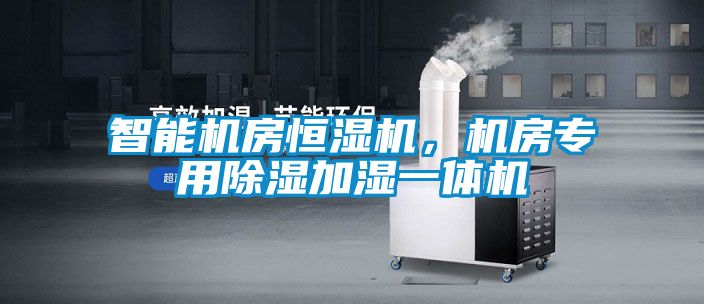 智能機房恒濕機，機房專用除濕加濕一體機