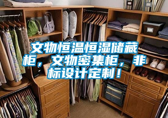文物恒溫恒濕儲藏柜，文物密集柜，非標設計定制！