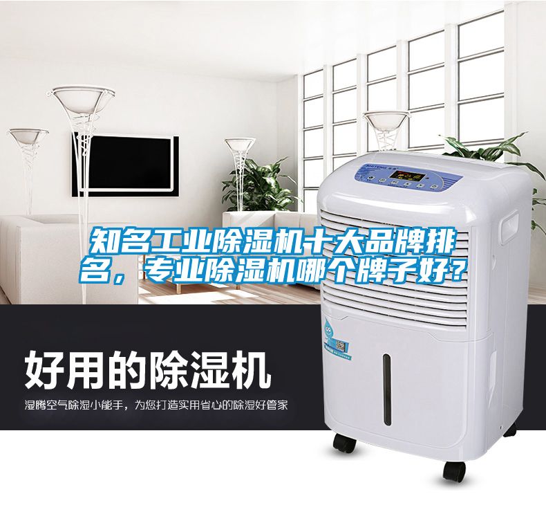 知名工業除濕機十大品牌排名，專業除濕機哪個牌子好？