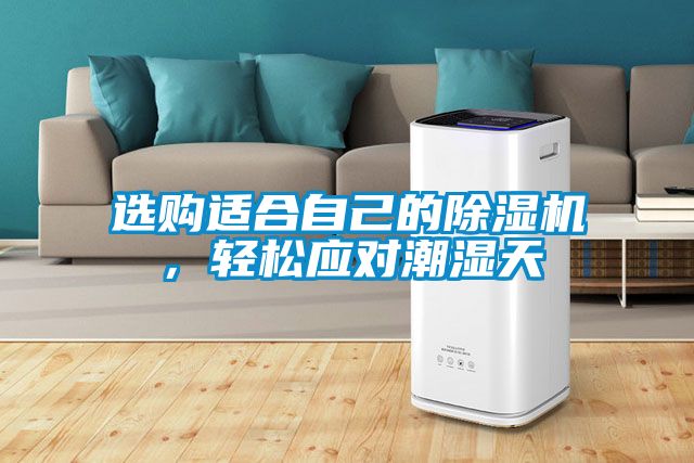 選購適合自己的除濕機，輕松應對潮濕天