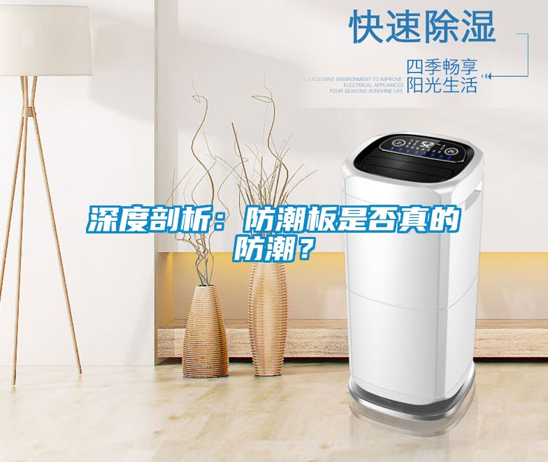 深度剖析：防潮板是否真的防潮？