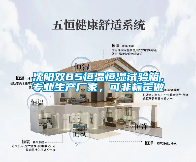沈陽雙85恒溫恒濕試驗箱，專業生產廠家，可非標定做