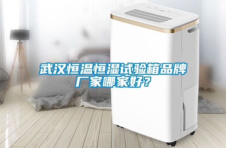 武漢恒溫恒濕試驗箱品牌廠家哪家好？