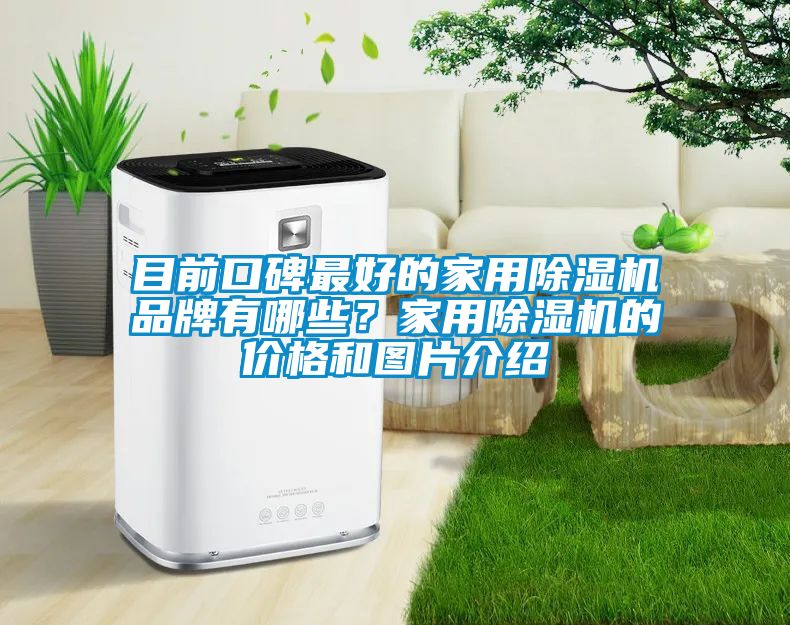目前口碑最好的家用除濕機品牌有哪些？家用除濕機的價格和圖片介紹