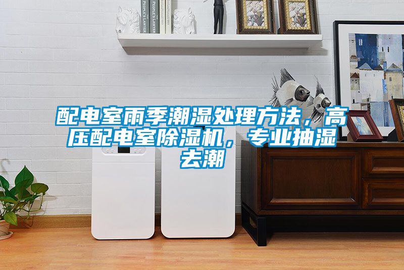 配電室雨季潮濕處理方法，高壓配電室除濕機，專業抽濕去潮