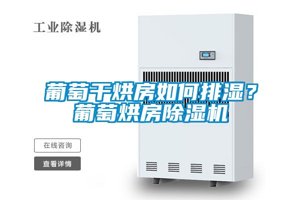 葡萄干烘房如何排濕？葡萄烘房除濕機