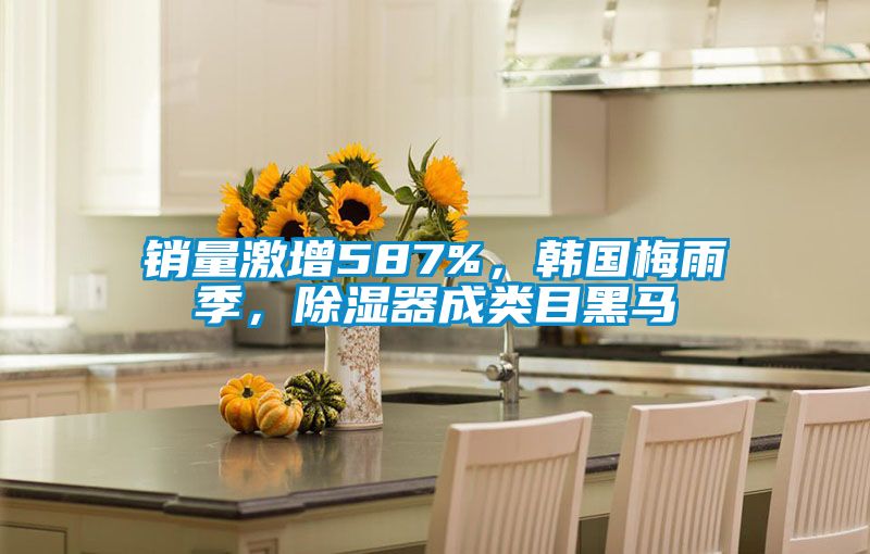 銷量激增587%，韓國梅雨季，除濕器成類目黑馬