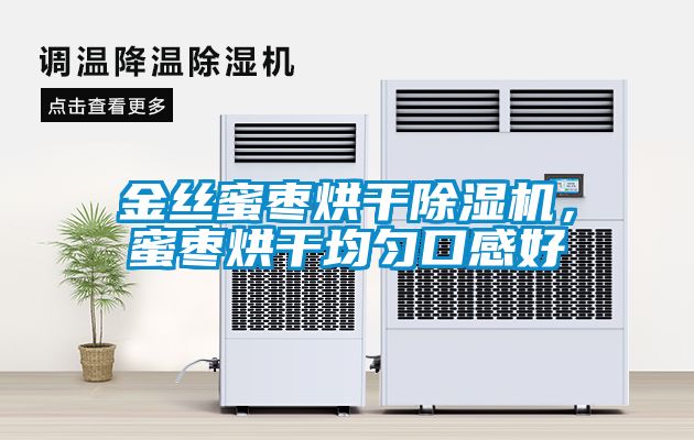 金絲蜜棗烘干除濕機，蜜棗烘干均勻口感好