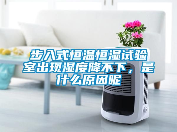 步入式恒溫恒濕試驗室出現濕度降不下，是什么原因呢