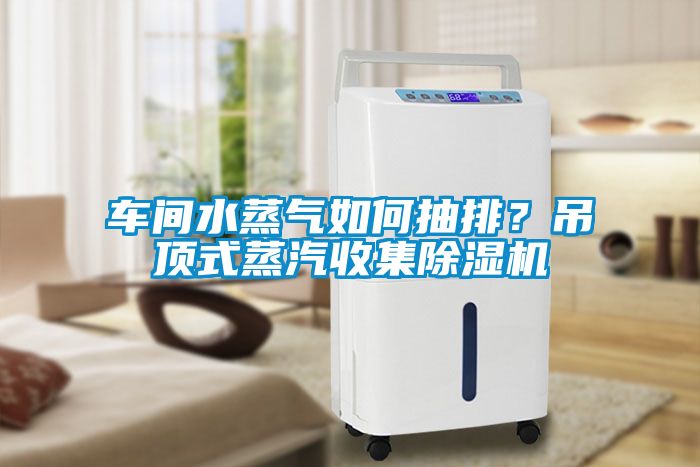 車間水蒸氣如何抽排？吊頂式蒸汽收集除濕機