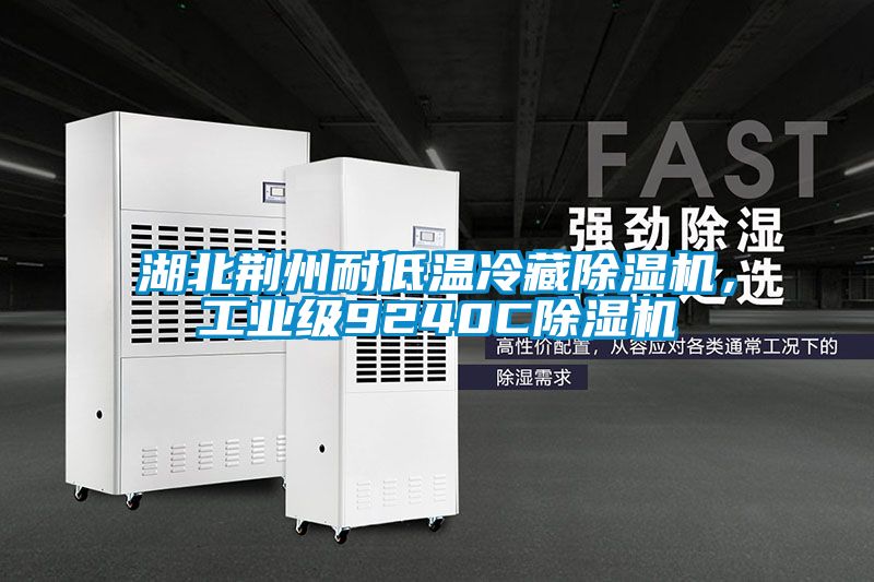 湖北荊州耐低溫冷藏除濕機，工業級9240C除濕機
