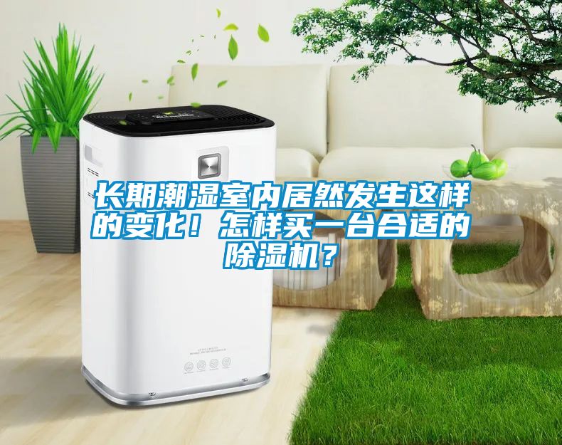 長期潮濕室內居然發生這樣的變化！怎樣買一臺合適的除濕機？