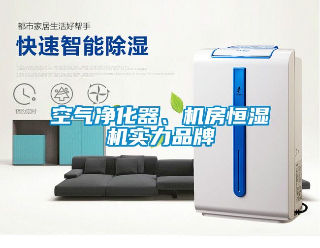 空氣凈化器、機房恒濕機實力品牌