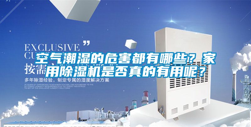 空氣潮濕的危害都有哪些？家用除濕機是否真的有用呢？