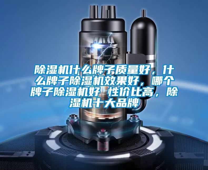 除濕機什么牌子質量好，什么牌子除濕機效果好，哪個牌子除濕機好 性價比高，除濕機十大品牌