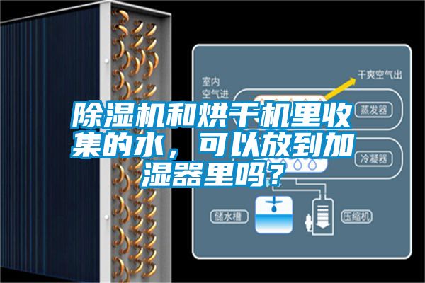 除濕機和烘干機里收集的水，可以放到加濕器里嗎？