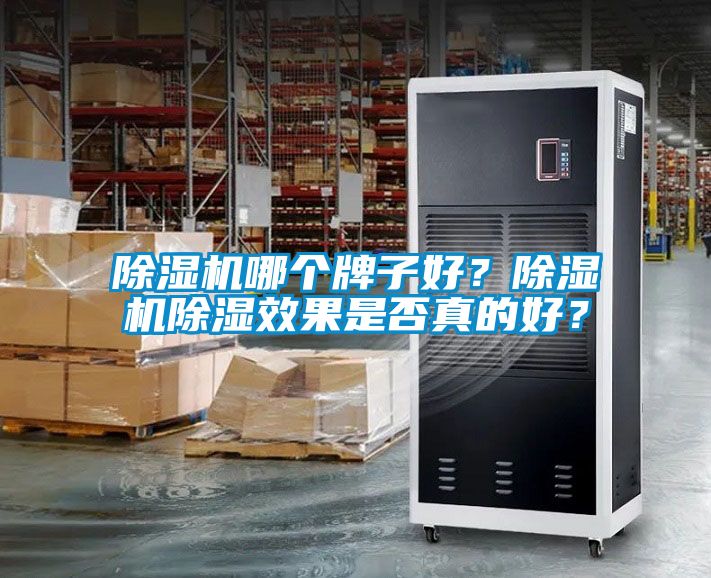 除濕機哪個牌子好？除濕機除濕效果是否真的好？