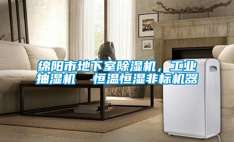 綿陽市地下室除濕機，工業抽濕機  恒溫恒濕非標機器