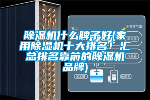 除濕機什么牌子好(家用除濕機十大排名！匯總排名靠前的除濕機品牌)