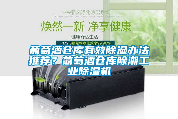 葡萄酒倉庫有效除濕辦法推薦？葡萄酒倉庫除潮工業除濕機