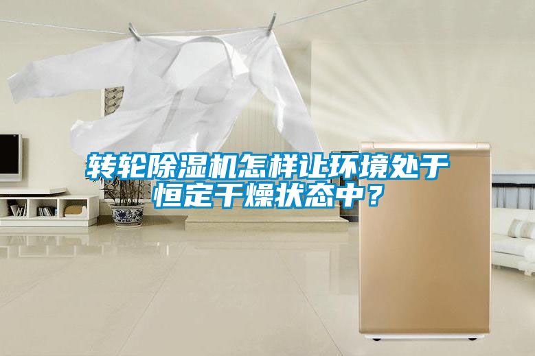 轉輪除濕機怎樣讓環境處于恒定干燥狀態中？