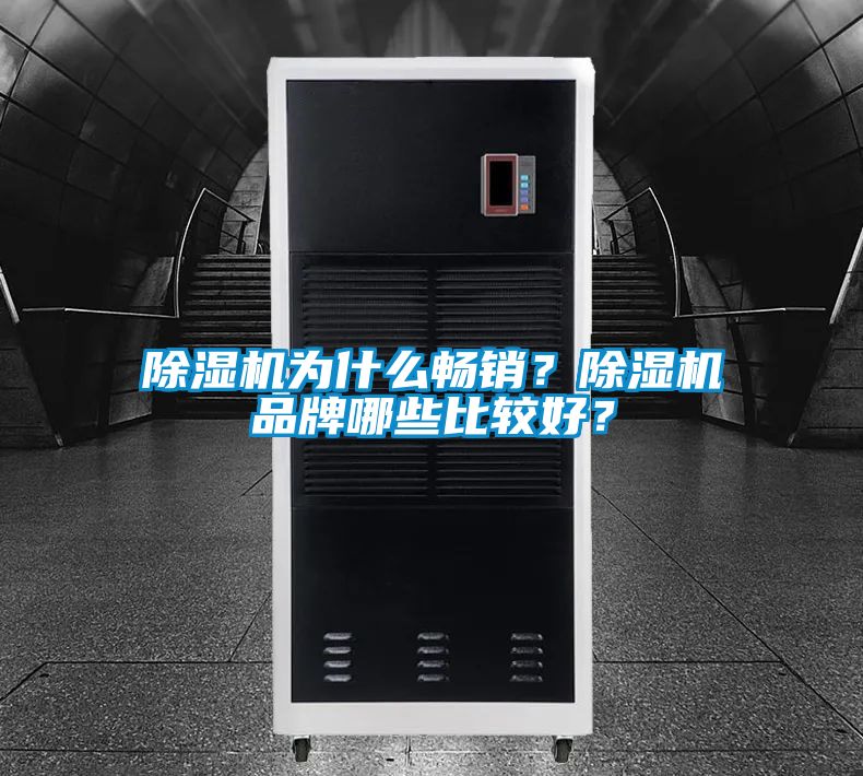 除濕機為什么暢銷？除濕機品牌哪些比較好？