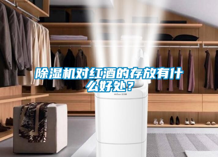 除濕機對紅酒的存放有什么好處？
