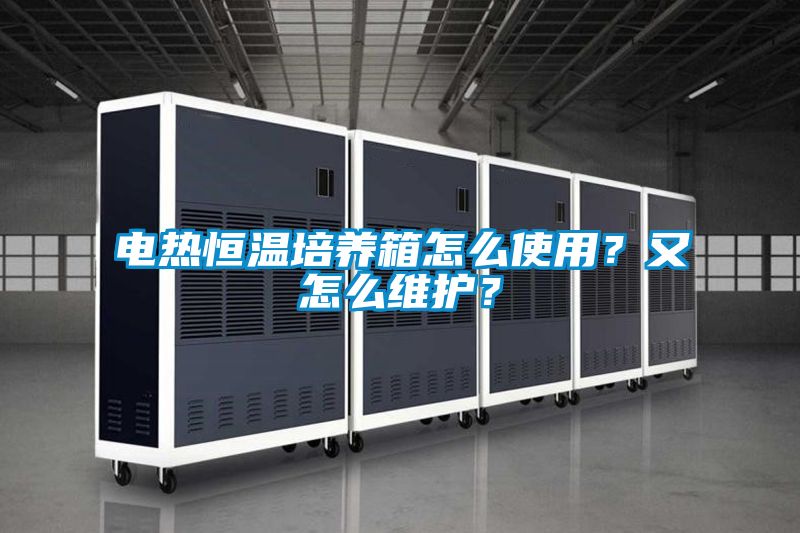 電熱恒溫培養箱怎么使用？又怎么維護？
