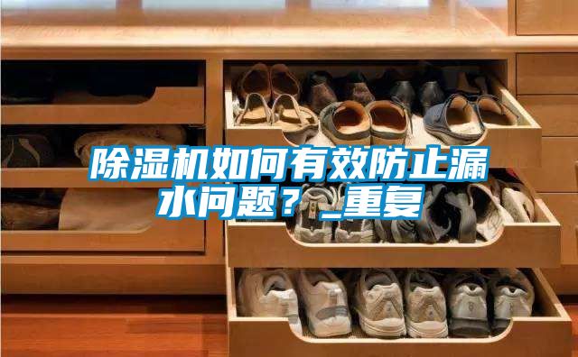 除濕機如何有效防止漏水問題？_重復