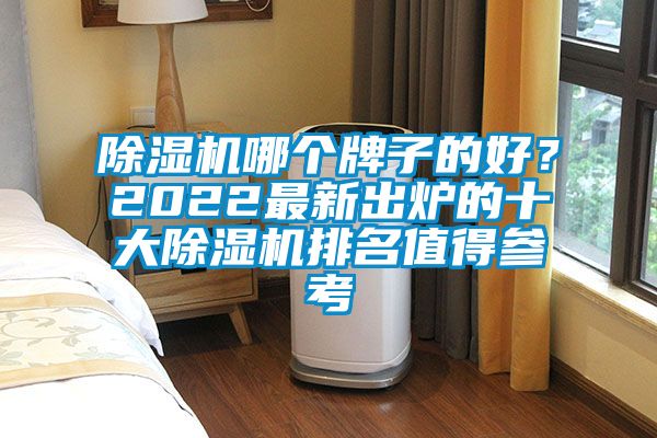 除濕機哪個牌子的好？2022最新出爐的十大除濕機排名值得參考