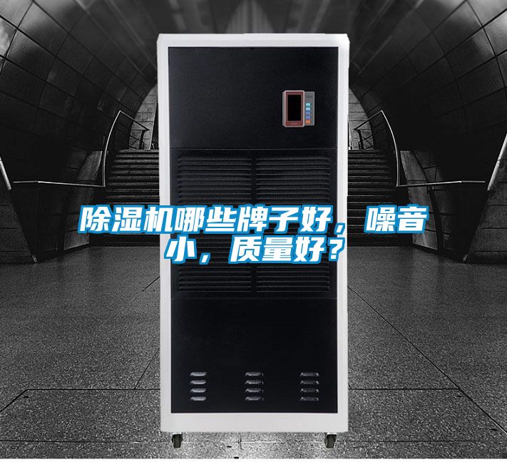 除濕機哪些牌子好，噪音小，質量好？