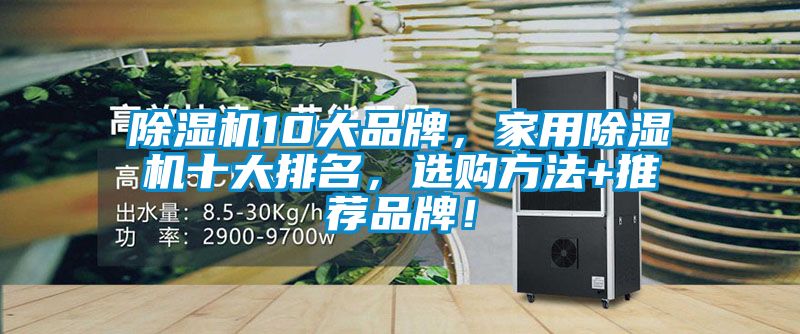 除濕機10大品牌，家用除濕機十大排名，選購方法+推薦品牌！