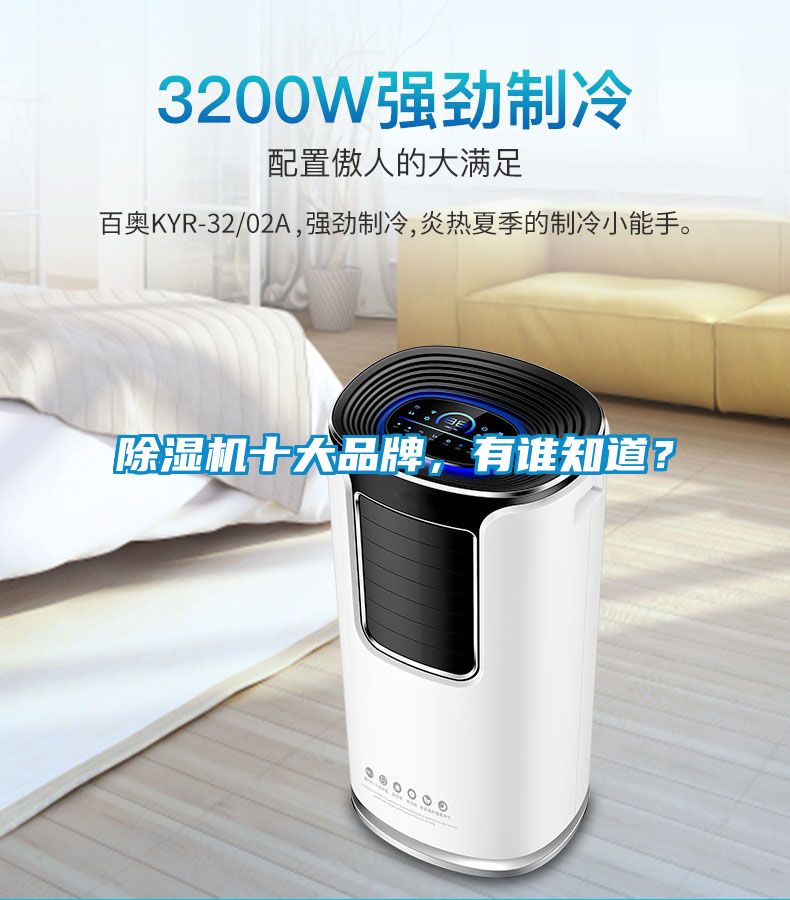 除濕機十大品牌，有誰知道？