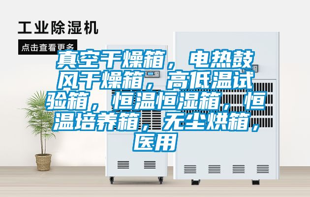 真空干燥箱，電熱鼓風干燥箱，高低溫試驗箱，恒溫恒濕箱，恒溫培養箱，無塵烘箱，醫用