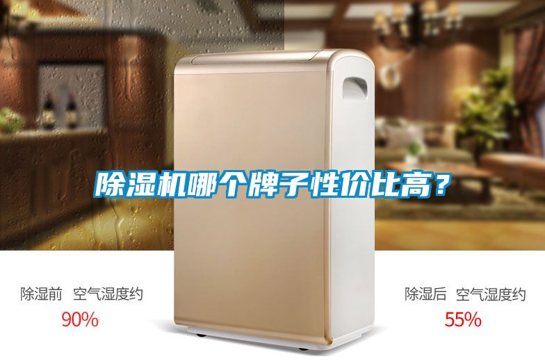 除濕機哪個牌子性價比高？