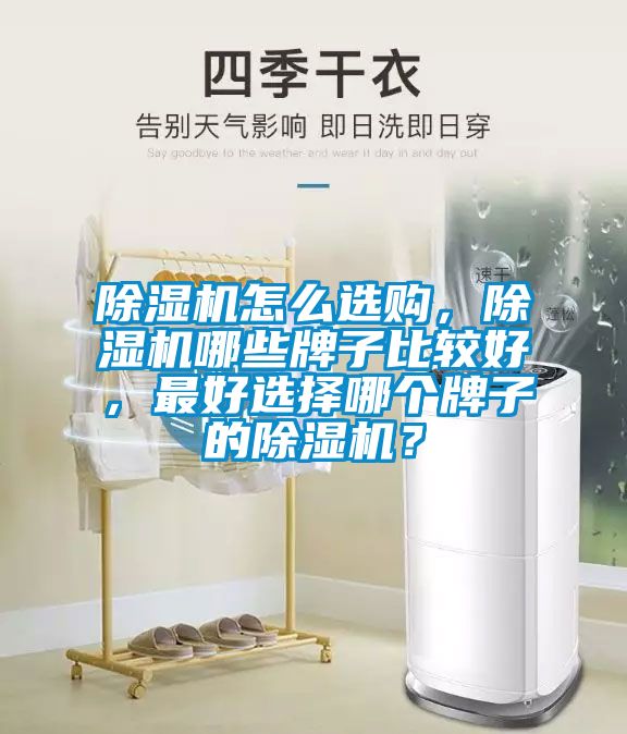 除濕機怎么選購，除濕機哪些牌子比較好，最好選擇哪個牌子的除濕機？