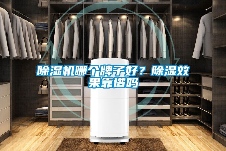 除濕機哪個牌子好？除濕效果靠譜嗎