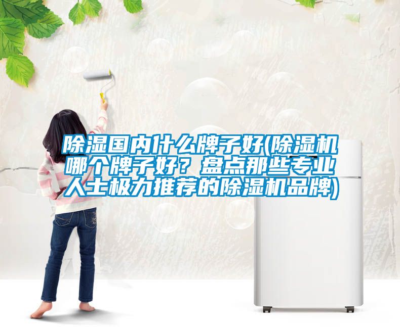 除濕國內什么牌子好(除濕機哪個牌子好？盤點那些專業人士極力推薦的除濕機品牌)
