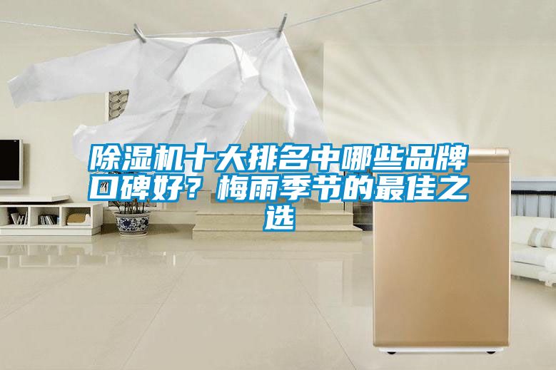 除濕機十大排名中哪些品牌口碑好？梅雨季節的最佳之選