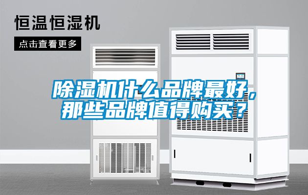 除濕機什么品牌最好，那些品牌值得購買？