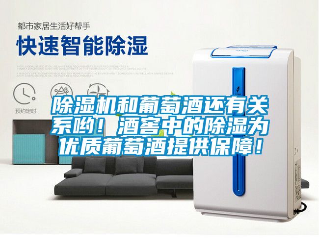 除濕機和葡萄酒還有關系喲！酒窖中的除濕為優質葡萄酒提供保障！