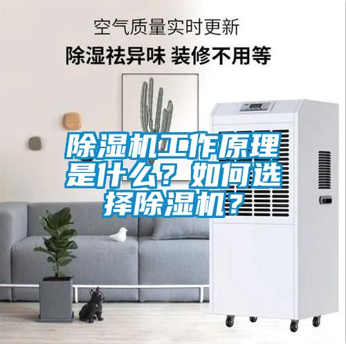 除濕機工作原理是什么？如何選擇除濕機？