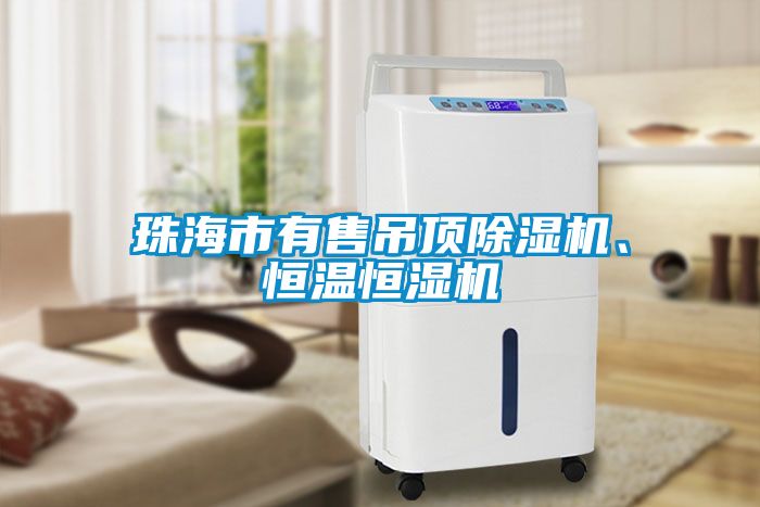 珠海市有售吊頂除濕機、恒溫恒濕機