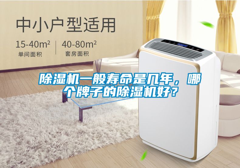 除濕機一般壽命是幾年，哪個牌子的除濕機好？